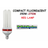 CFL 250W Red-500×500