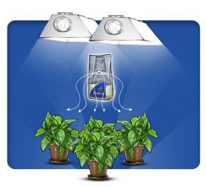 SMART CO2 BAG Grow Bloom Hydroponics C02 Generator like Exhale Organic Tent Room 