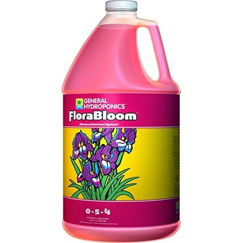 GH Bloom 4L-500×500