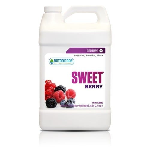 SweetBerry-500×500