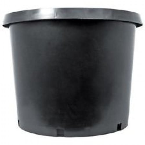 Pot ThickWall L-500×500 (1)