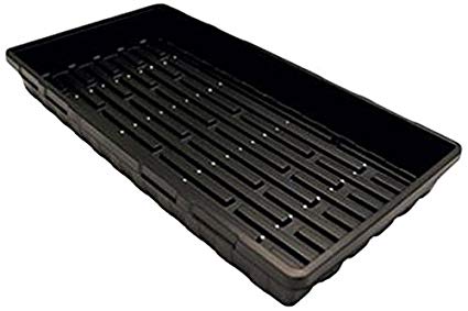Propagating Tray 10 x 20 with Holes